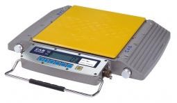 CÂN XE TẢI XÁCH TAY RW-10S