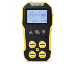 Máy Đo Khí CO-H2S-O2-CH4